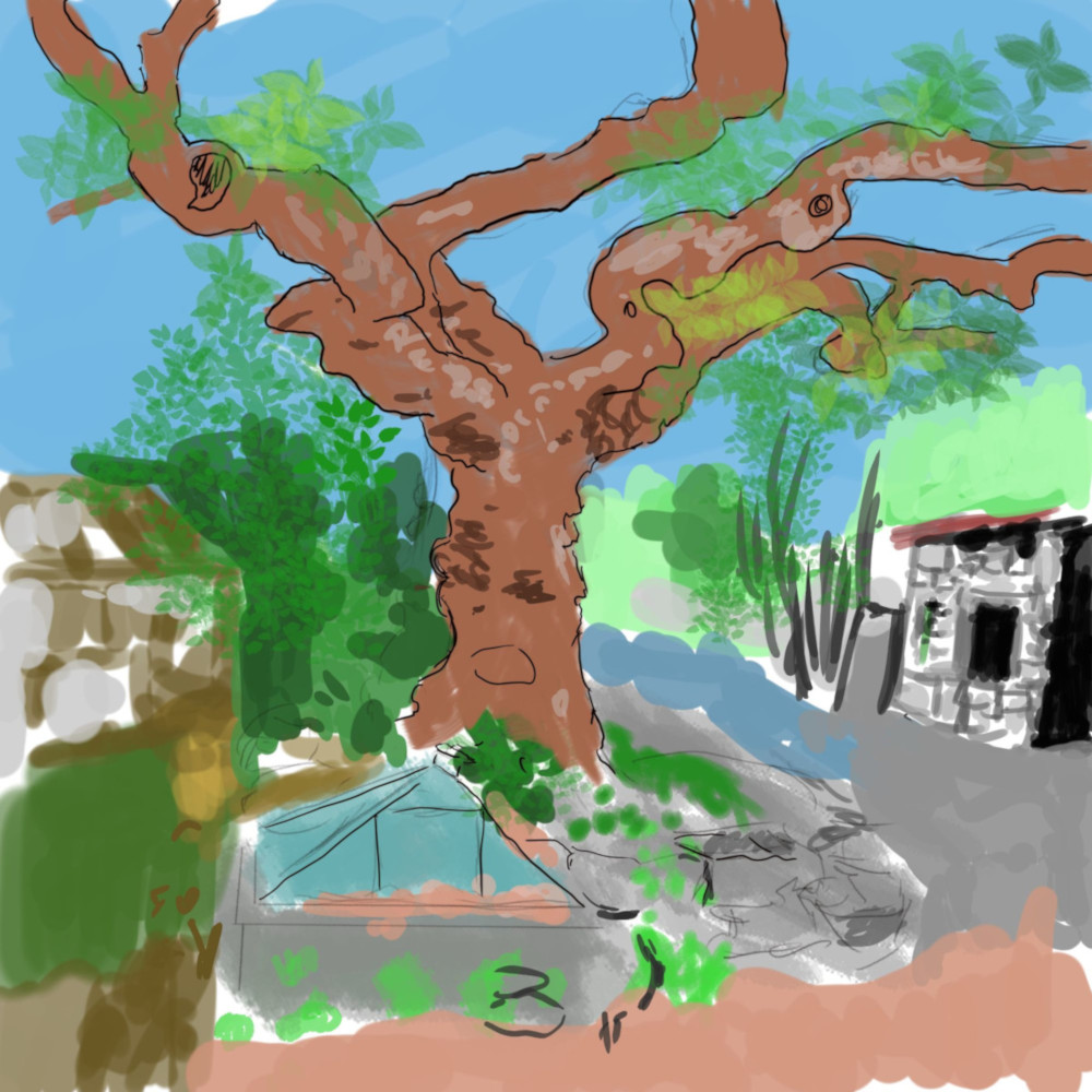  djeleas toile-libre Arbre-bo nasss sies 