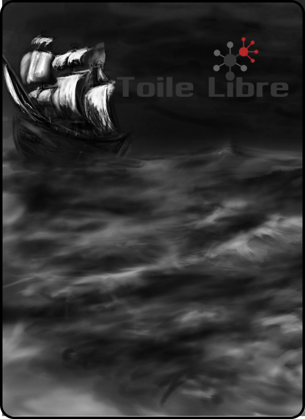  djeleas toile-libre affiche-ide-bat 