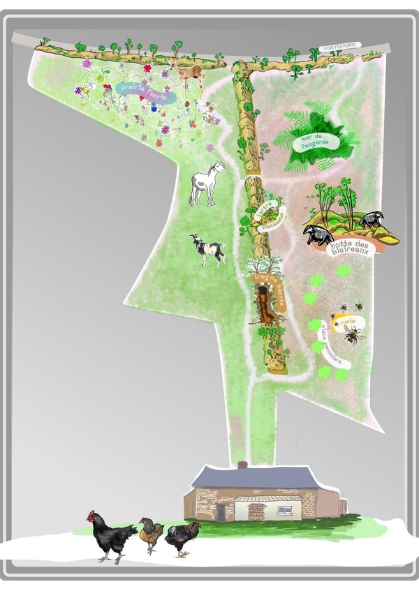  djeleas toile-libre Carte Lapin 