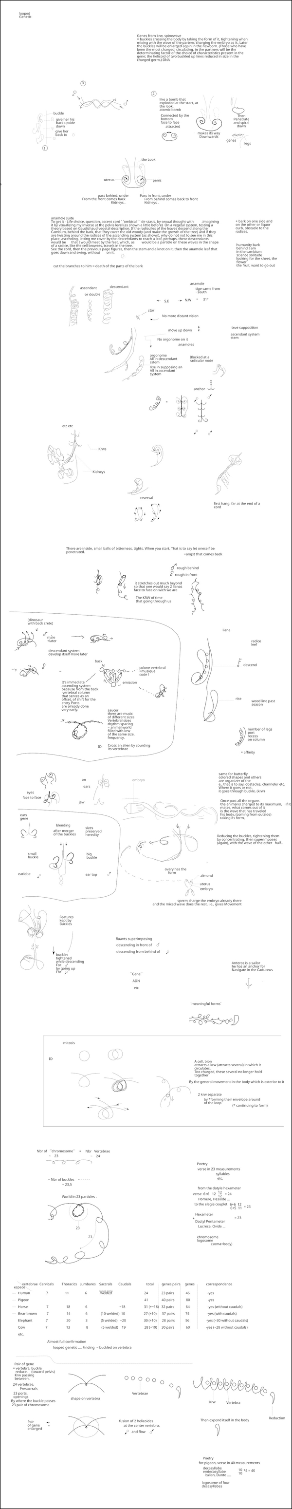  djeleas toile-libre drawing04_e 