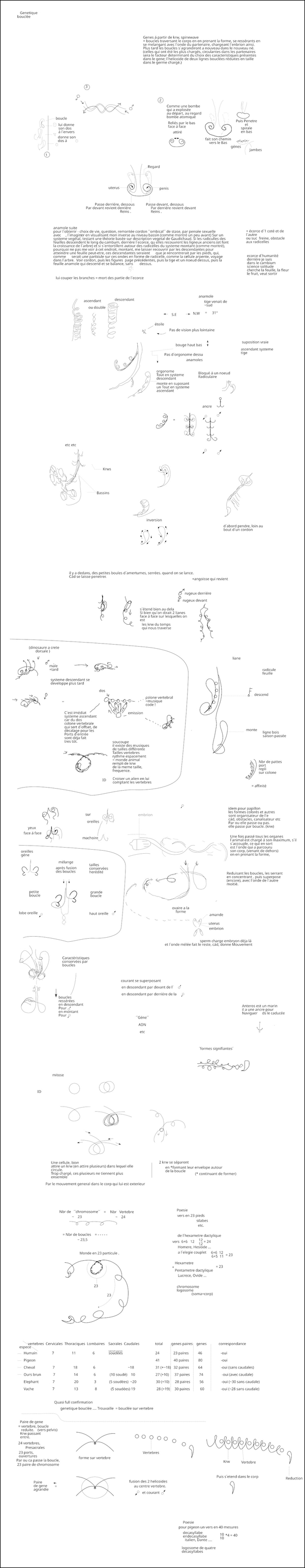  djeleas toile-libre drawing04 