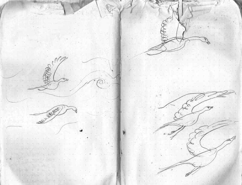  auteur autre 028_o_ptesis_00 