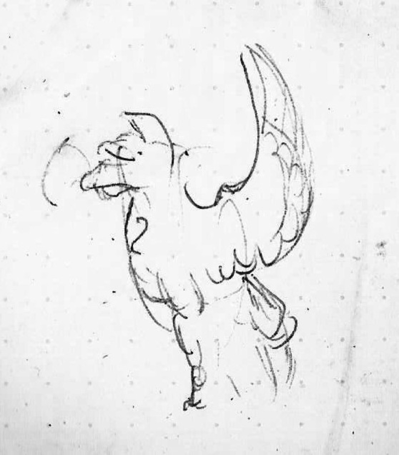  auteur autre 030_griffon 