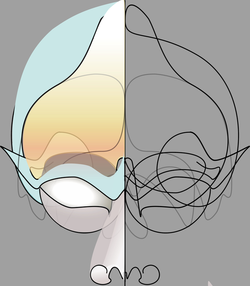  djeleas path1698-3_02 